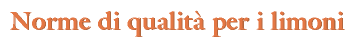 div_tit2.GIF (2014 bytes)