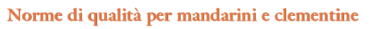div_tit2.GIF (2014 bytes)