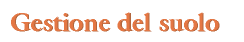 div_tit2.GIF (2014 bytes)