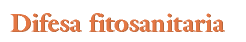 div_tit2.GIF (2014 bytes)
