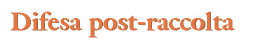 div_tit2.GIF (2014 bytes)