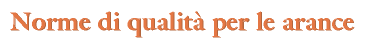 div_tit2.GIF (2014 bytes)