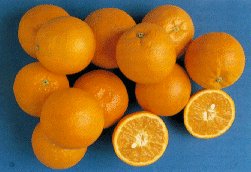 valenc.jpg (12806 byte)