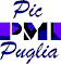 PIC-PMI