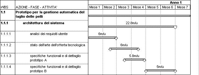 Cronogramma FASE 1.1.1.